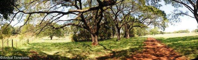 _DSC1656 Panorama.jpg